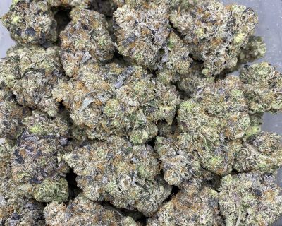 PINK ZOMBIE (EXTREME GAS) - Image 2